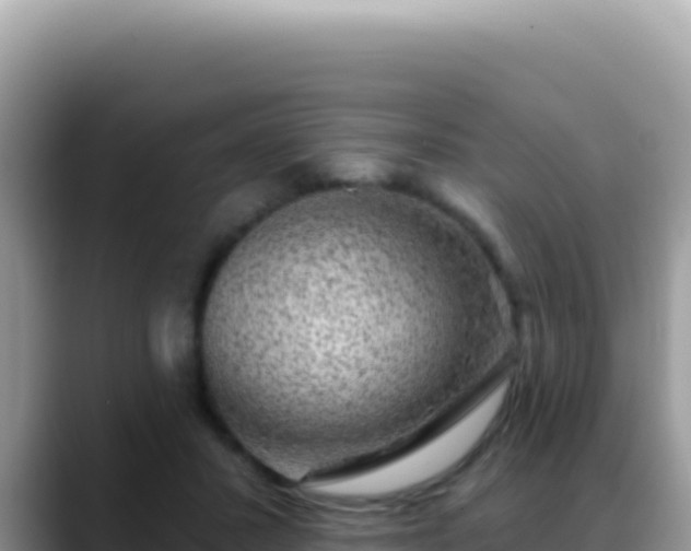 X0000088730407200706071644