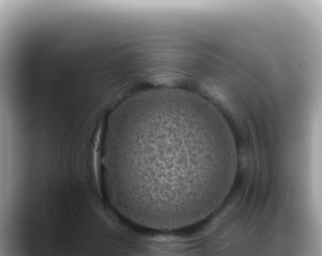 X0000088730408200706071644