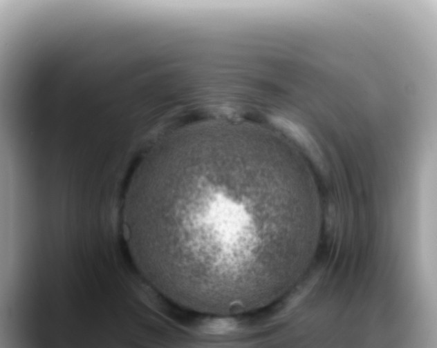X0000088730409200706071644