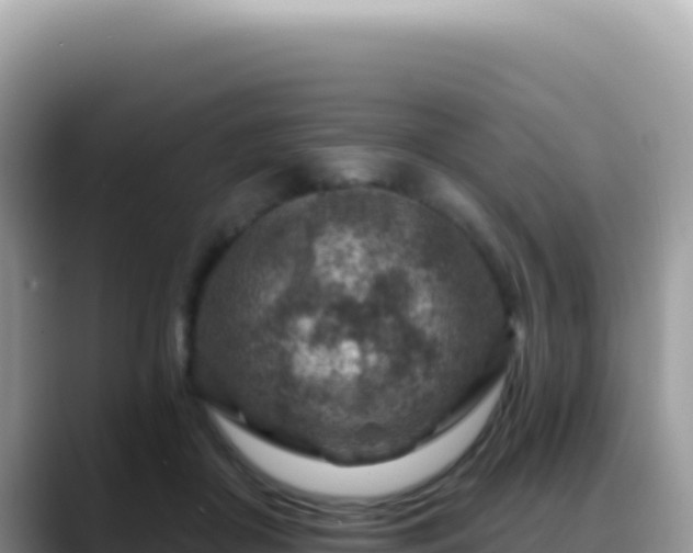X0000088730410200706071644