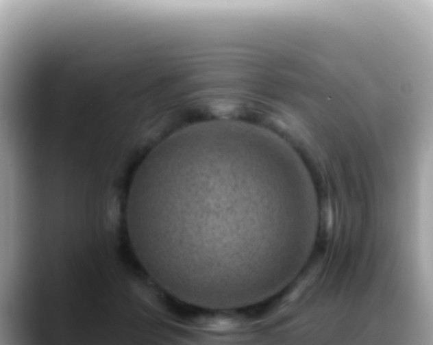 X0000088730412200706071644
