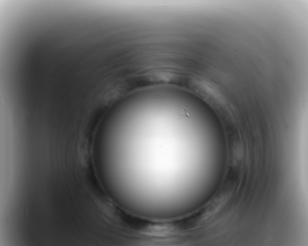 X0000088730414200706071644