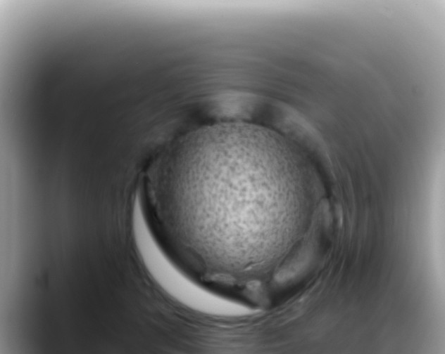 X0000088730416200706071644
