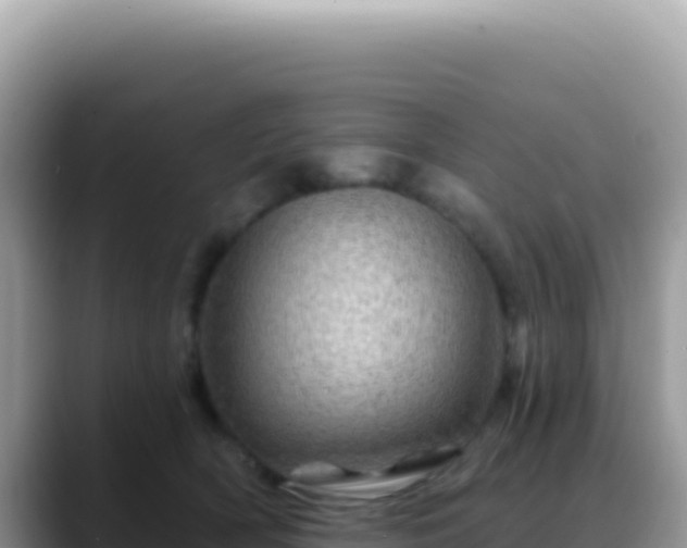 X0000088730418200706071644