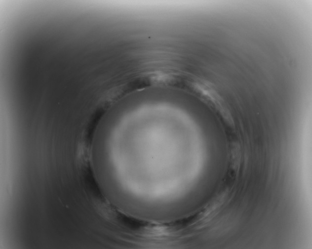 X0000088730419200706071644