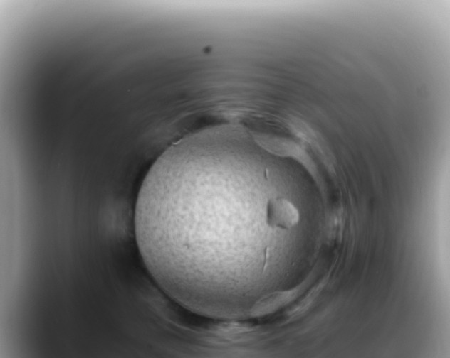 X0000088730421200706071644