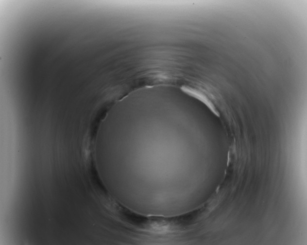X0000088730423200706071643