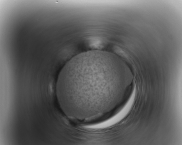 X0000088730424200706071643