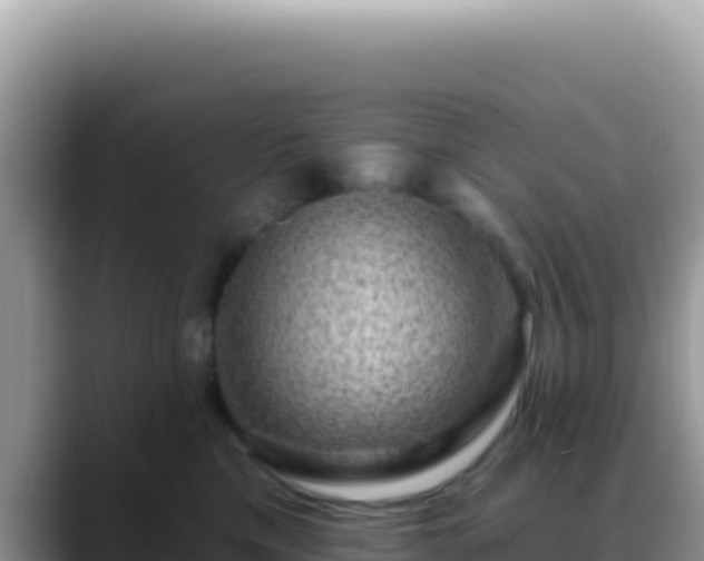 X0000088730425200706071643