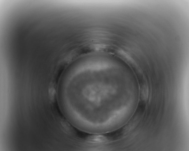 X0000088730427200706071643