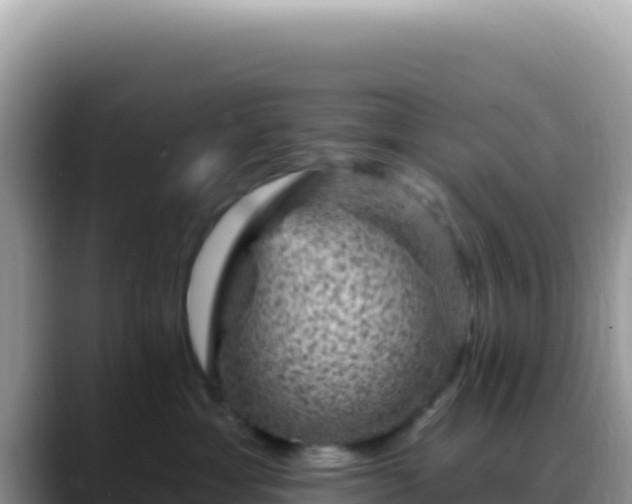 X0000088730429200706071643