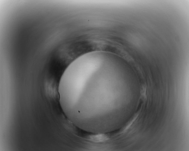 X0000088730431200706071643