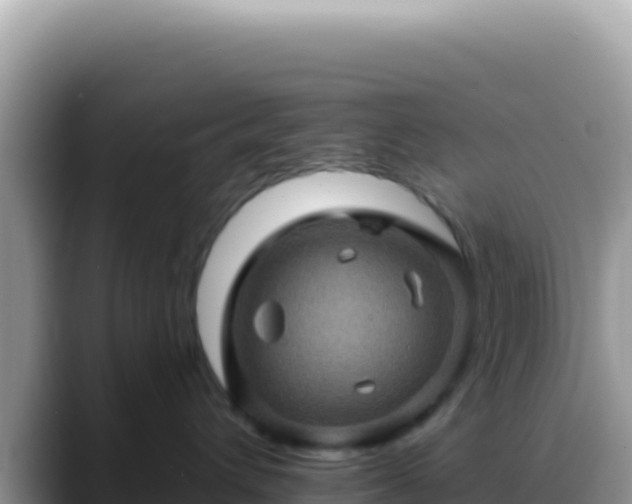 X0000088730432200706071643