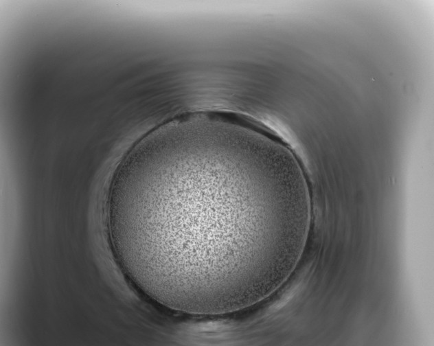 X0000088730433200706071643