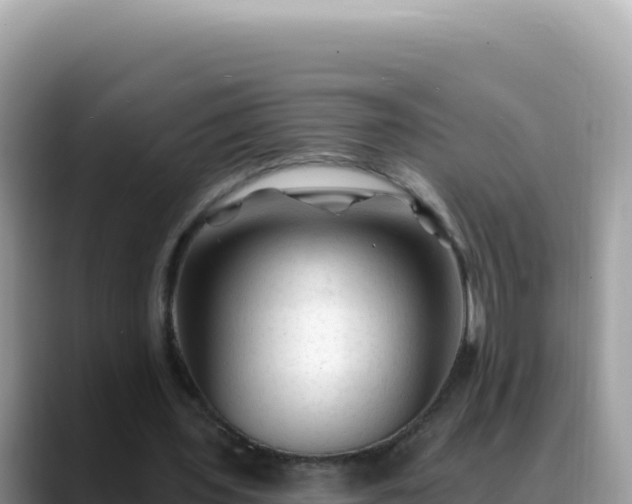 X0000088730435200706071643
