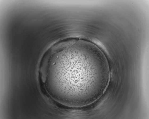 X0000088730436200706071643