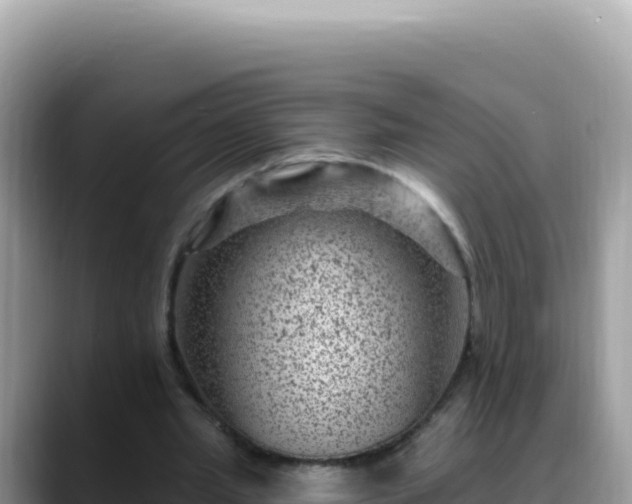 X0000088730437200706071643