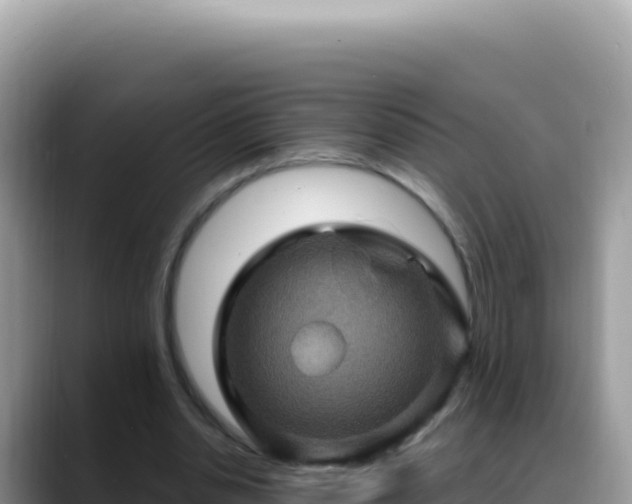X0000088730438200706071643