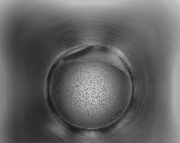 X0000088730439200706071643