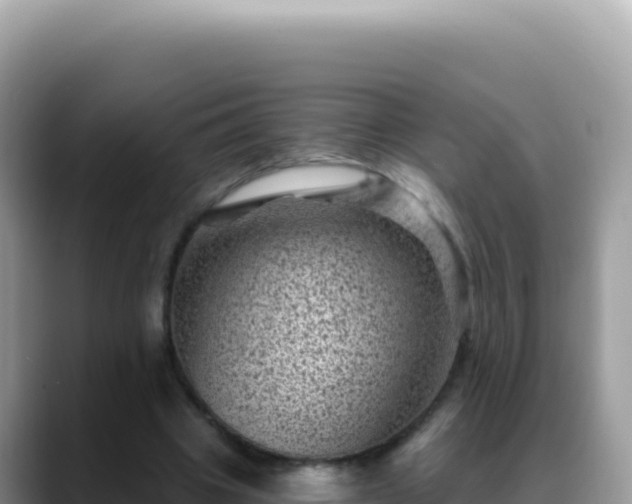 X0000088730441200706071643