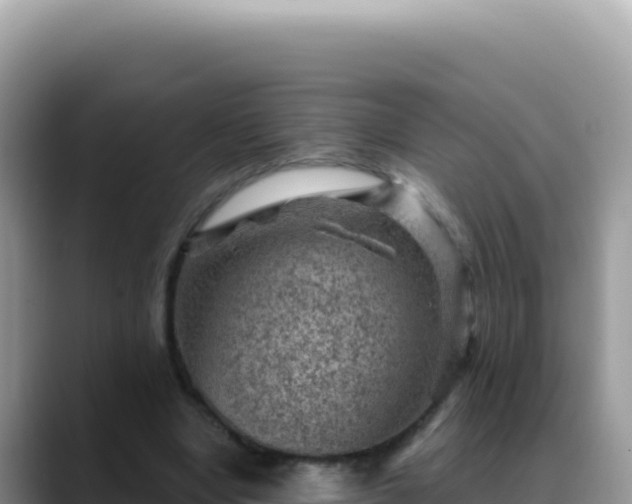 X0000088730442200706071643