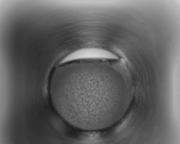 X0000088730443200706071643