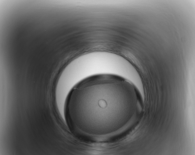 X0000088730444200706071643