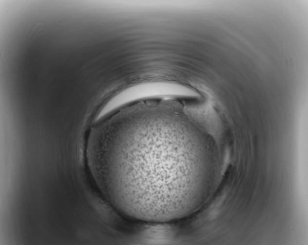X0000088730446200706071643
