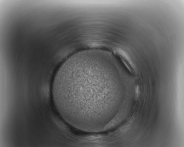 X0000088730447200706071643