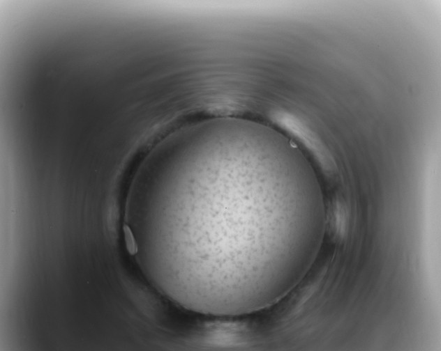X0000088730448200706071643