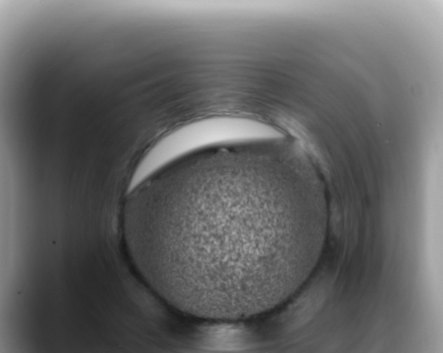X0000088730449200706071643