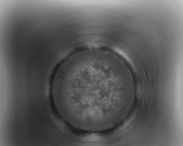X0000088730451200706071643