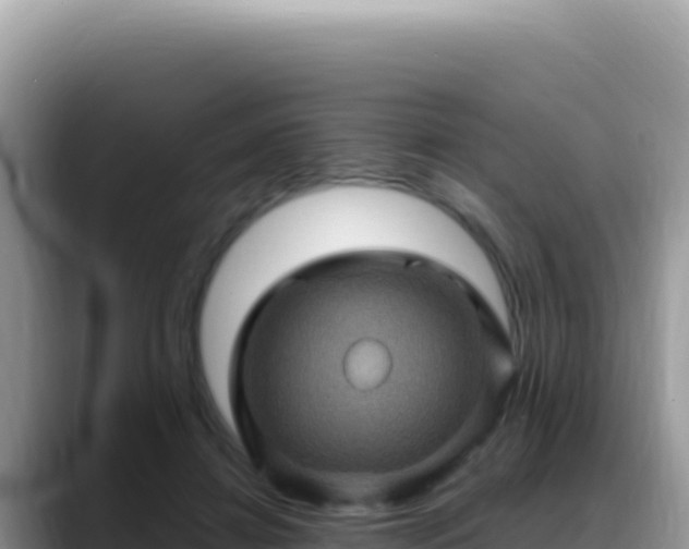 X0000088730452200706071643