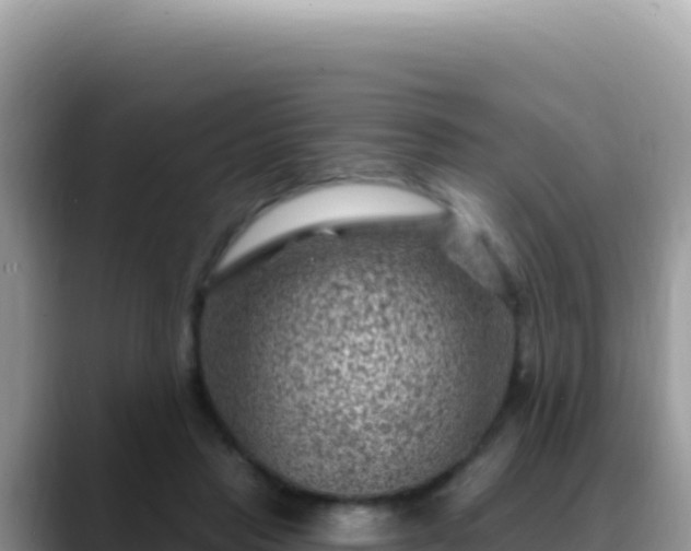 X0000088730453200706071643