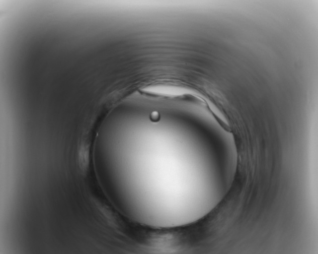 X0000088730454200706071643
