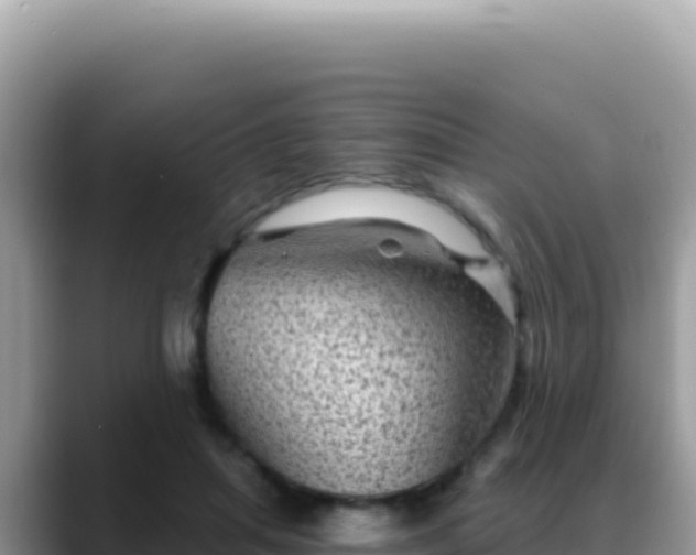 X0000088730455200706071643