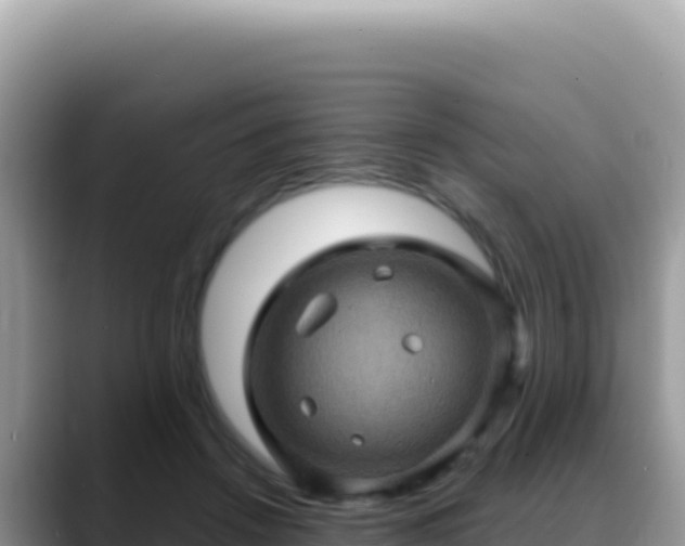 X0000088730456200706071643