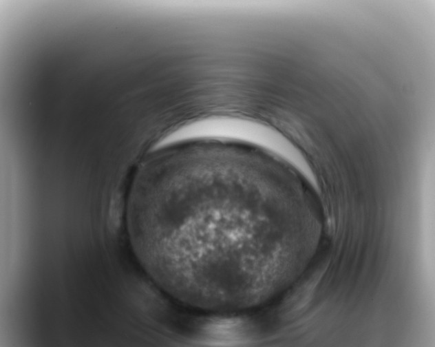 X0000088730458200706071643