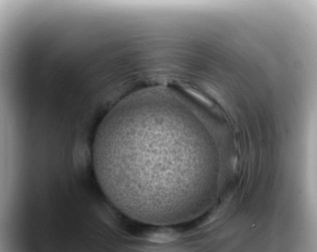 X0000088730459200706071643