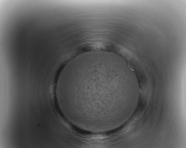 X0000088730462200706071643