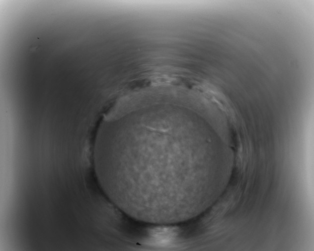 X0000088730465200706071643