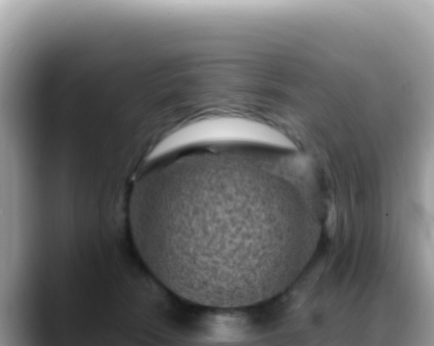 X0000088730466200706071643