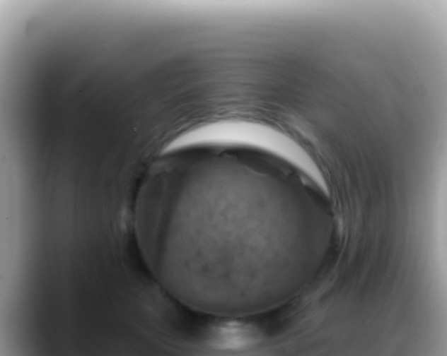 X0000088730467200706071643
