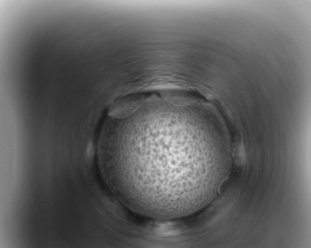 X0000088730472200706071643