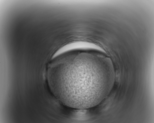 X0000088730474200706071643