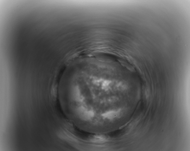 X0000088730475200706071643