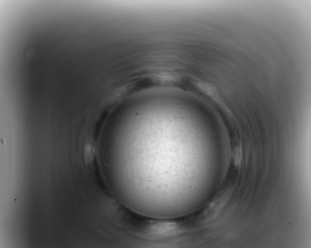 X0000088730476200706071643