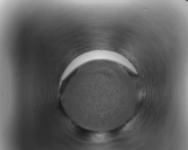 X0000088730479200706071643