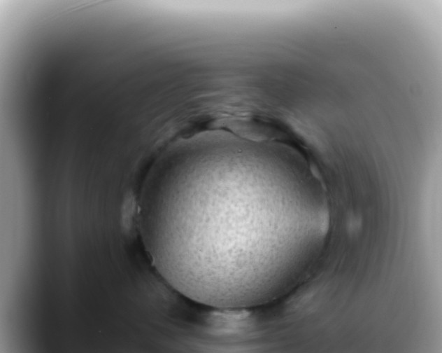 X0000088730480200706071643