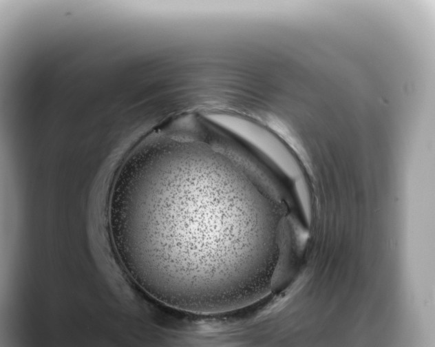 X0000088730481200706071643